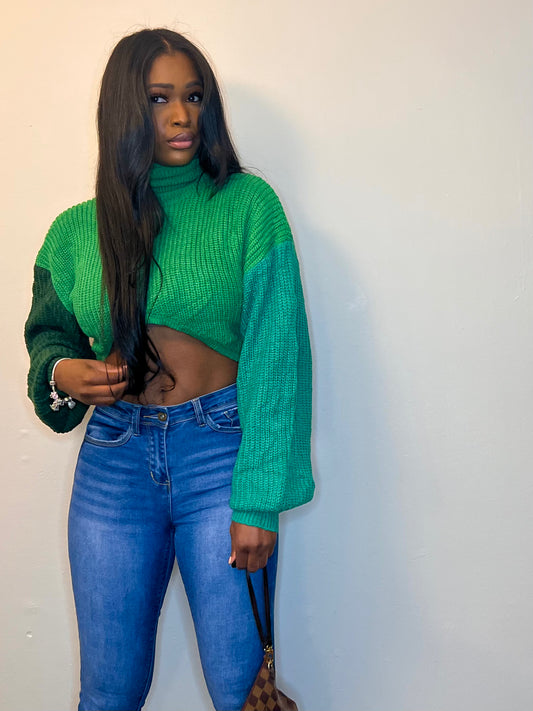 Hi neck cropped sweater