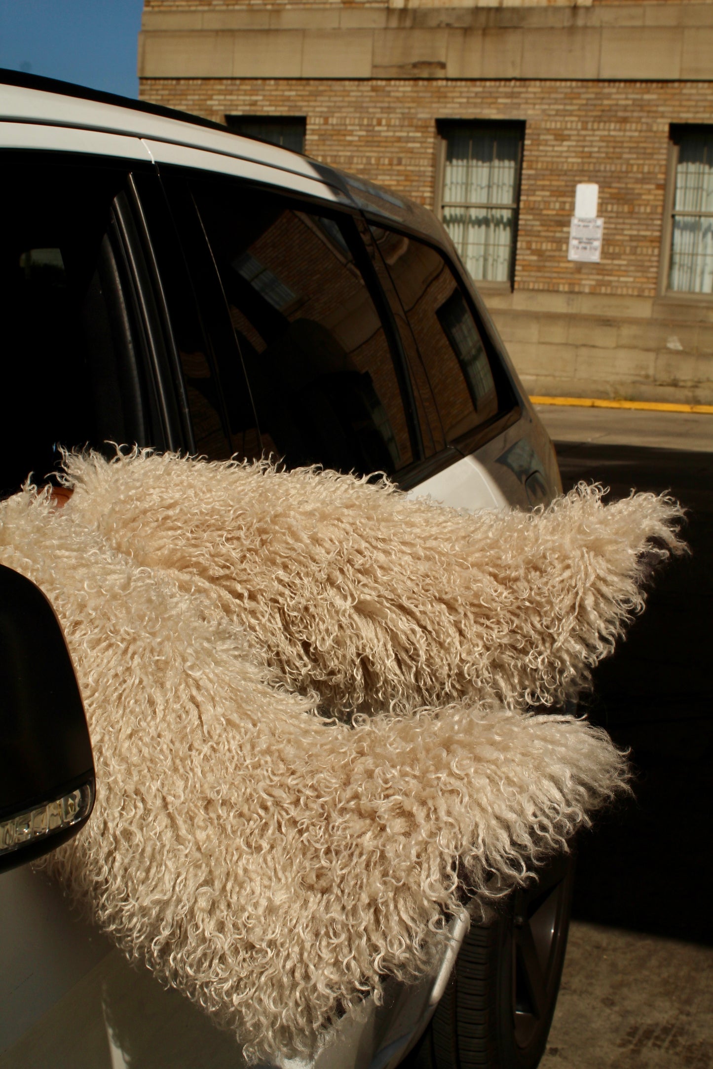 Luxe Club Tall Fur Boots